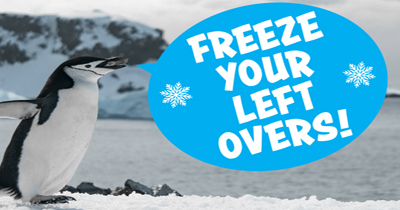 Freeze-your-leftovers-Copy