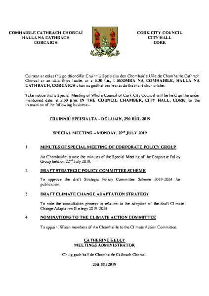 2019-07-29 - Agenda - Special Meeting front page preview
                              