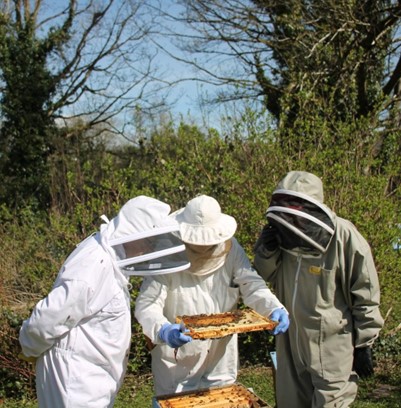 Cork-County-Beekeepers-Association