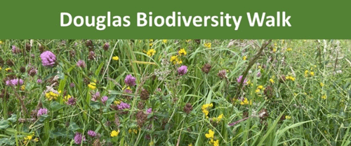 Douglas-Biodiversity-Walk