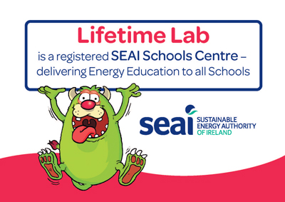 SEAI Primary Energy Workshop