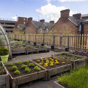 RooftopGarden2