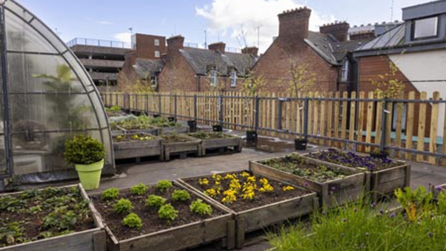 RooftopGarden2