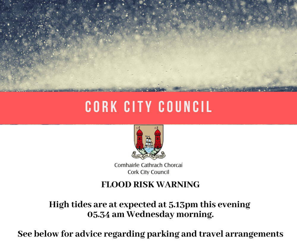 Copy-of-Cork-city-council