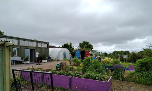 Hollyhill-Community-Garden