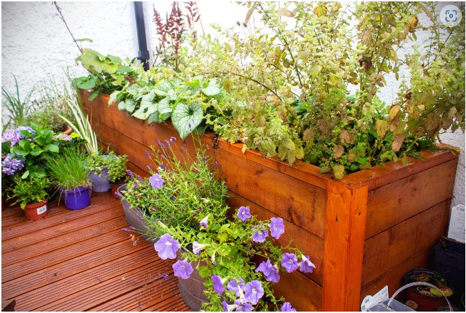 Rain Water Planter Cork 