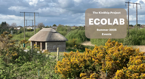 The KinSip EcoLab, a handbuilt shelter with a thatched roof supported by earthen gable walls and columns is pictured amongst gorse bushes with yellow blooms in Tramore Valley Park under a blue sky with fluffy clouds overhead.