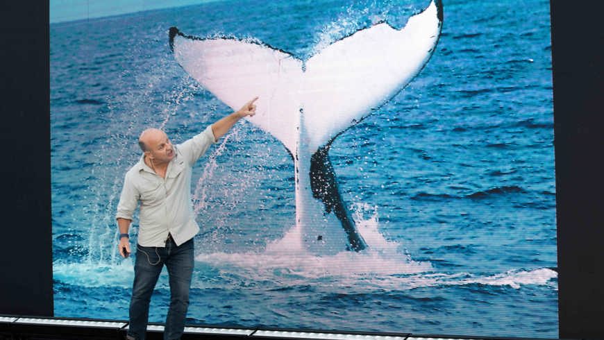 DK09062019 Seafest 236