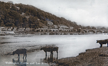 10-1986.83.43-D6.1-Postcard-Wellington-Bridge-River-Lee-Lee-Road-1927