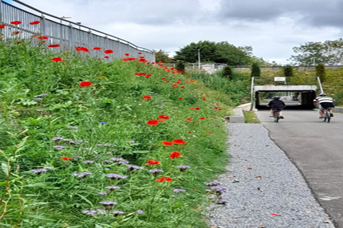 Image of Skehard Road Underpass