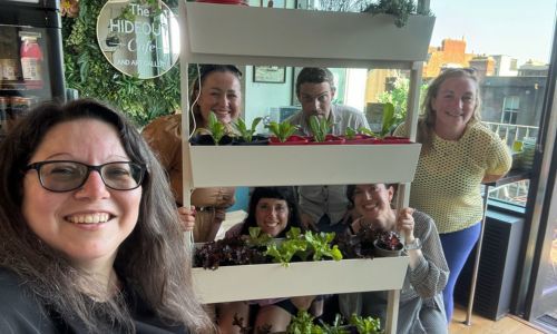 six people inside the hideout cafe with vegetables growing on shelves
