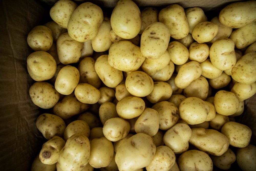 Image of potatoes