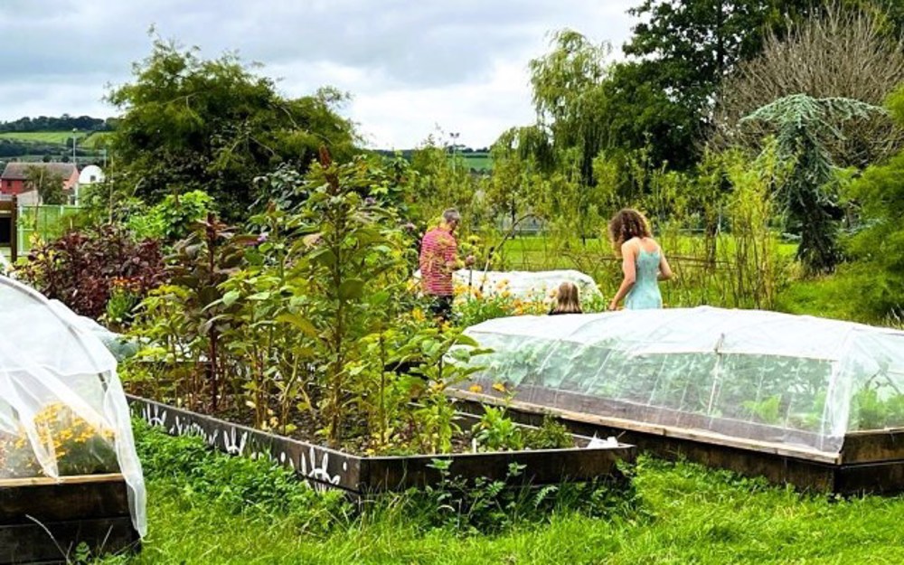 Togher Community Gardens