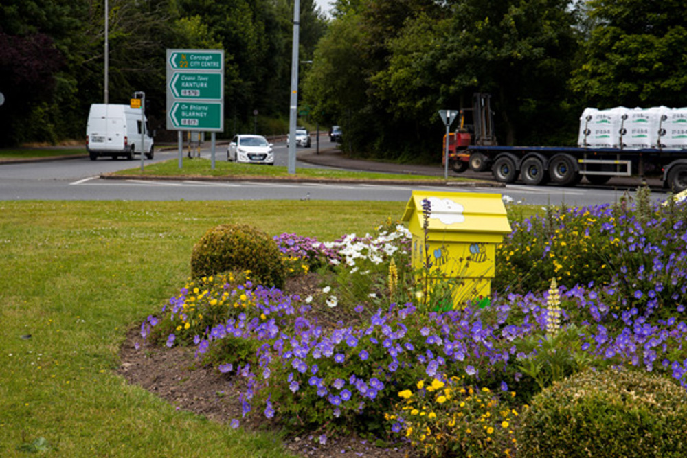 Ballincollig-beehive