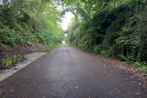 Railway Cutting