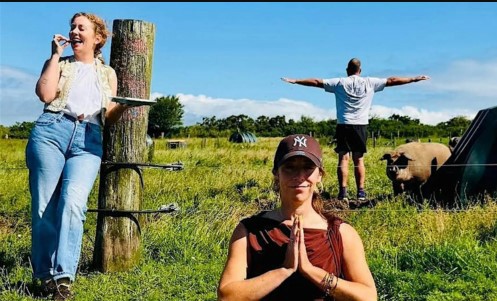 three people and a large pig in a field doing yoga