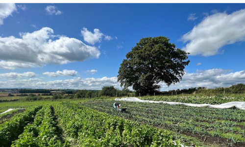 Glenbrook-Farm-tour