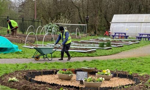 Two workers on the farm, one man with a shovel and another with a wheelbarrow
