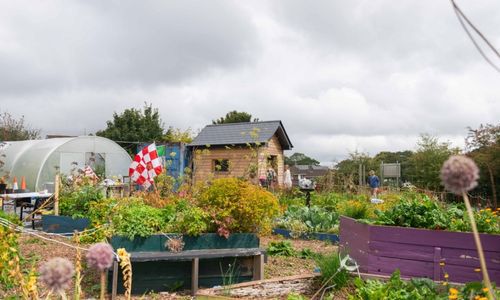 Taste the Goodness Community Garden Party, Knocknaheeny
