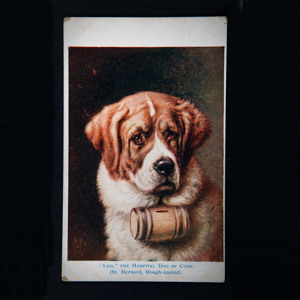 2014.6.433 Postcard Novelty Hospital Dog Leo 01 Copy