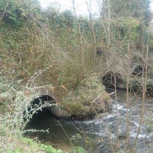 glyntown bridge pic 1 july 2024 thumbnail